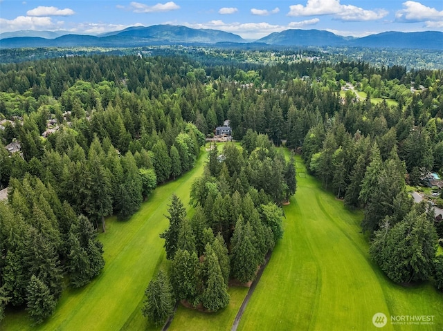bird's eye view of a mountainous background and a forest