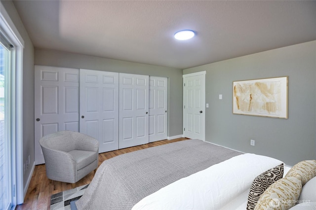 10910 114th Ave SW, Tacoma, WA 98498 - bedroom featuring wood finished floors and a closet