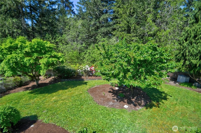 10910 114th Ave SW, Tacoma, WA 98498 - view of grassy yard