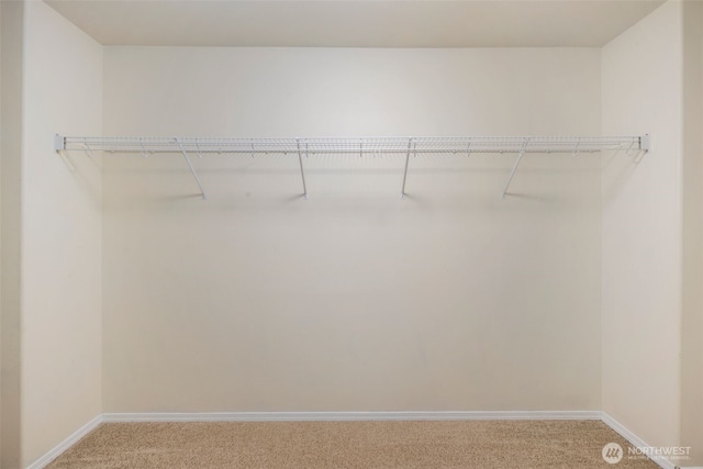 spacious closet featuring light carpet