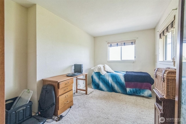12623 Douglas Rd, Yakima, WA 98908 - bedroom featuring light colored carpet