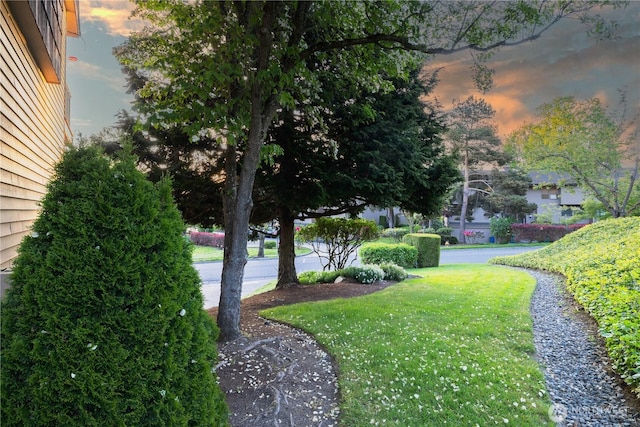 yard at dusk featuring a yard