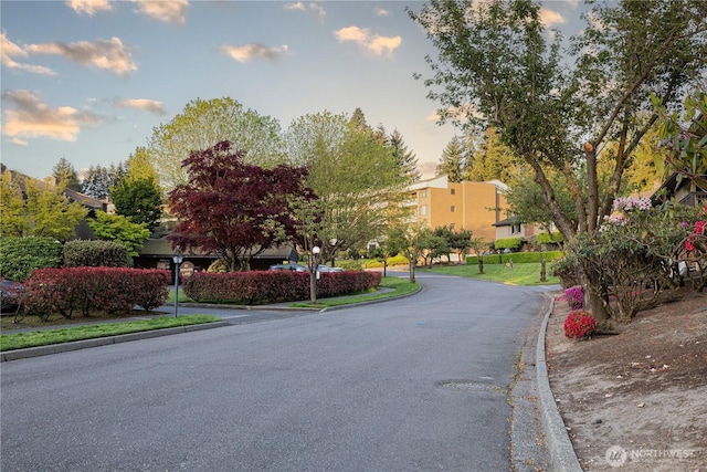view of asphalt road with curbs and street lighting