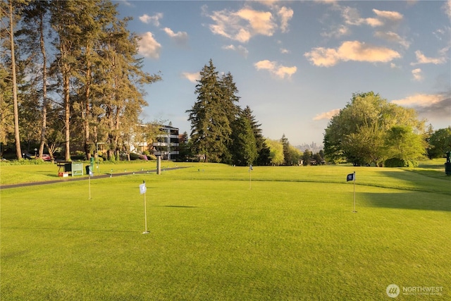 view of community featuring a putting green