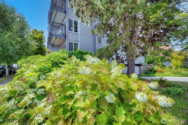 5901 Phinney Ave N Unit 103, Seattle, WA 98103 - view of yard