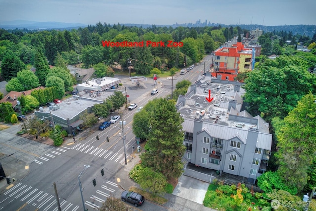 5901 Phinney Ave N Unit 103, Seattle, WA 98103 - drone / aerial view of a heavily wooded area