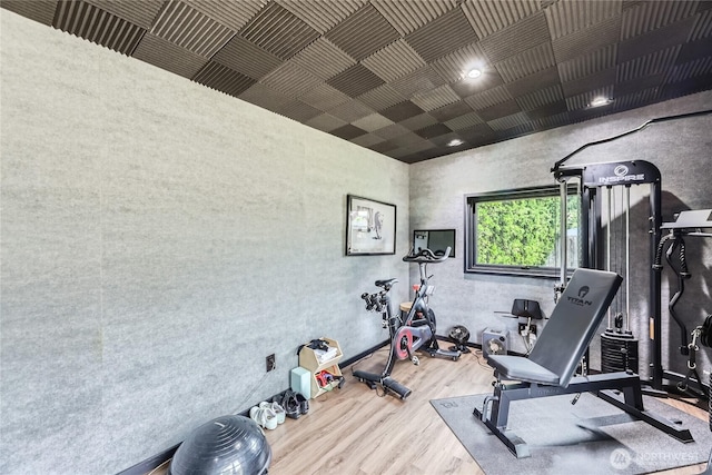 exercise room featuring wood finished floors