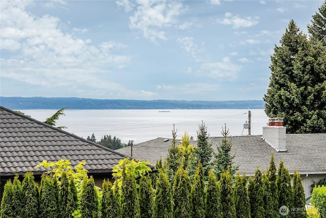 900 Sea Vista Pl, Edmonds, WA 98020 - water view