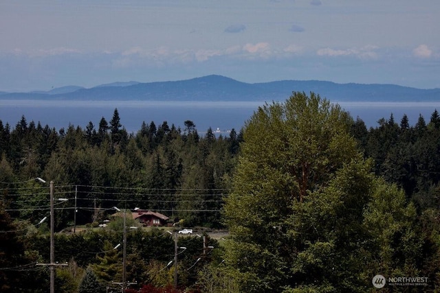 2884 Happy Valley Rd, Sequim, WA 98382