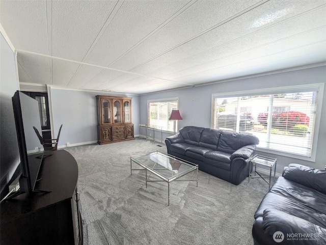 201 Union Ave SE Unit 136, Renton, WA 98059 - carpeted living area with baseboards and a textured ceiling