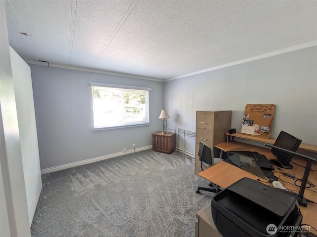 201 Union Ave SE Unit 136, Renton, WA 98059 - carpeted office space featuring baseboards, a textured ceiling, and crown molding