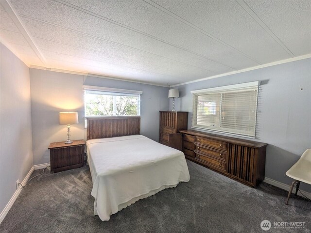 201 Union Ave SE Unit 136, Renton, WA 98059 - carpeted bedroom with a textured ceiling, baseboards, and crown molding