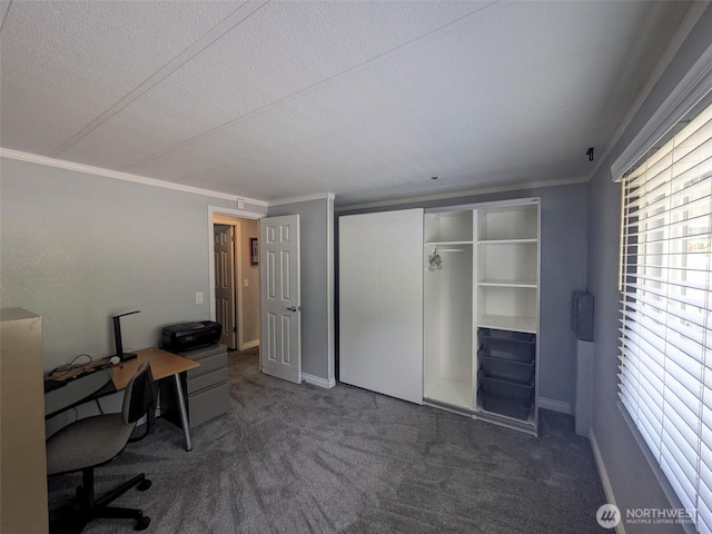 201 Union Ave SE Unit 136, Renton, WA 98059 - home office featuring ornamental molding, carpet floors, a textured ceiling, and baseboards