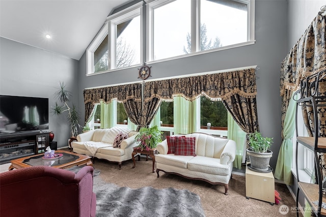 7819 Tolt River Rd NE, Carnation, WA 98014 - living room with high vaulted ceiling and carpet