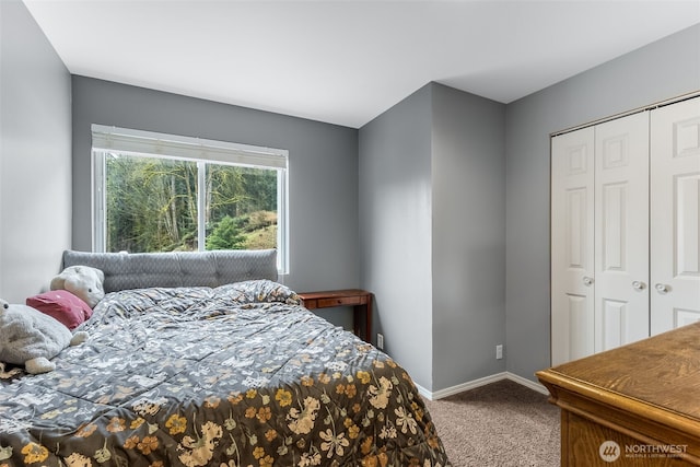 7819 Tolt River Rd NE, Carnation, WA 98014 - bedroom featuring carpet floors, a closet, and baseboards