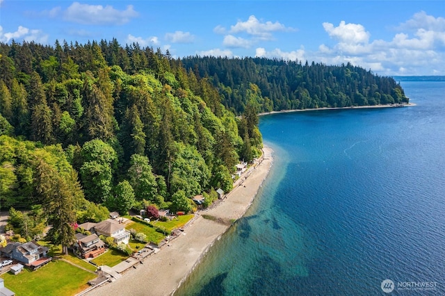 14010 SW Bates Rd, Vashon, WA 98070 - drone / aerial view of a forest and a large body of water