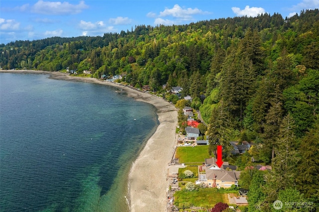 14010 SW Bates Rd, Vashon, WA 98070 - view of property location featuring a heavily wooded area and a nearby body of water