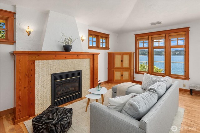 14010 SW Bates Rd, Vashon, WA 98070 - living room with light wood-style flooring, baseboards, a tile fireplace, and a water view