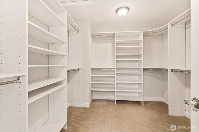walk in closet featuring carpet