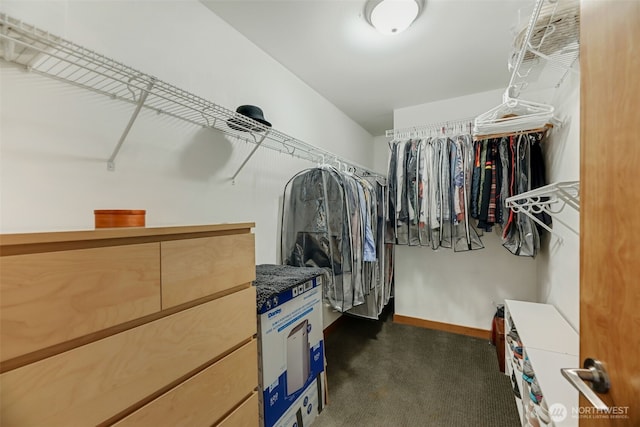14016 30th Ave NE, Seattle, WA 98125 - walk in closet featuring dark colored carpet