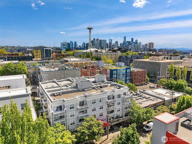 aerial view of a skyline view