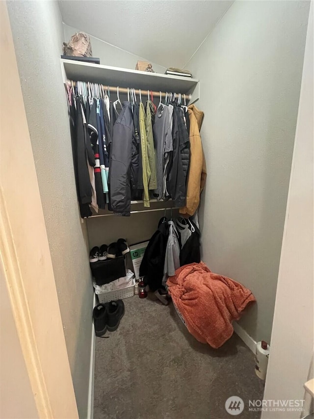 5600 Mt Solo Rd Unit 114, Longview, WA 98632 - walk in closet featuring carpet and vaulted ceiling