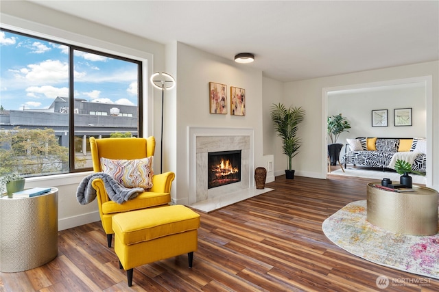 living room featuring wood finished floors, a fireplace, and baseboards