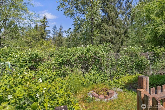212 Old Owen Rd Unit 46, Sultan, WA 98294 - view of yard
