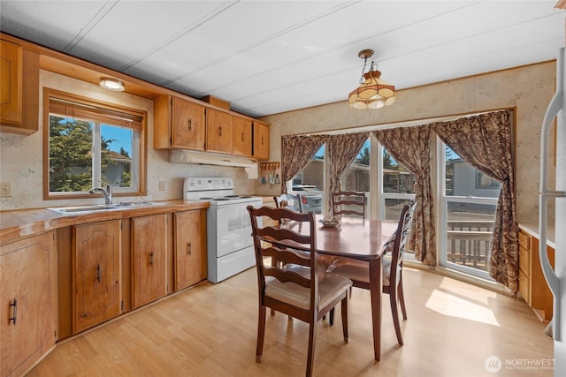 212 Old Owen Rd Unit 46, Sultan, WA 98294 - kitchen with white electric range oven, under cabinet range hood, light wood-style flooring, light countertops, and a sink