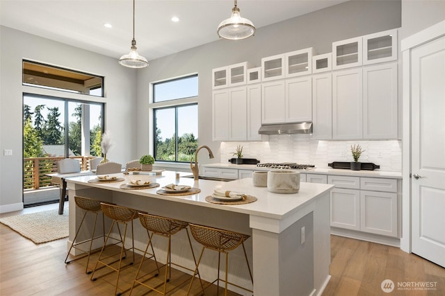 kitchen with a sink, under cabinet range hood, decorative backsplash, light countertops, and white cabinets