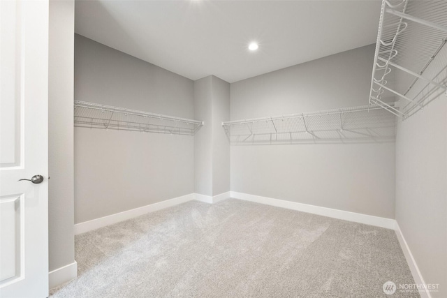 walk in closet with carpet flooring