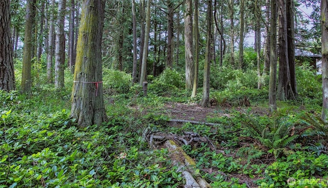 5679 Sheridan St, Port Townsend, WA 98368
