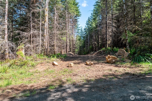 0 Orion Rd, Longview, WA 98632