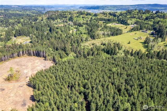 0 Orion Rd, Longview, WA 98632