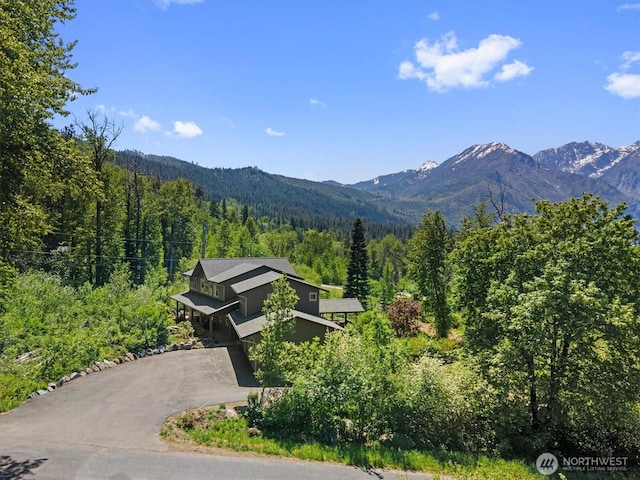 510 Dempsey Rd, Leavenworth, WA 98826 - view of mountain backdrop with a forest