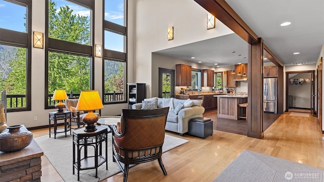 510 Dempsey Rd, Leavenworth, WA 98826 - living room featuring a high ceiling, plenty of natural light, and light wood-type flooring