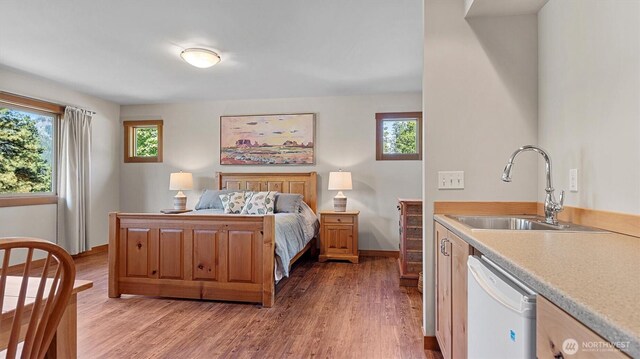 510 Dempsey Rd, Leavenworth, WA 98826 - bedroom featuring a sink, light wood finished floors, and multiple windows