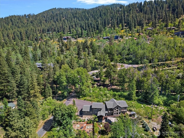510 Dempsey Rd, Leavenworth, WA 98826 - aerial view of property's location with a heavily wooded area