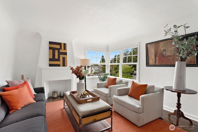 living room featuring wood finished floors and baseboards