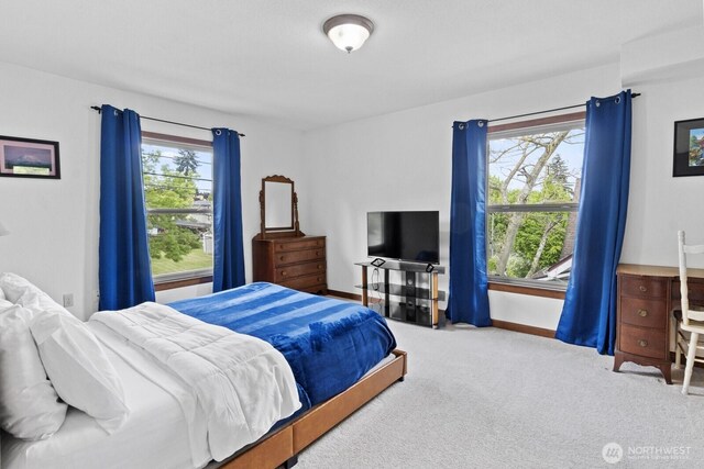 carpeted bedroom with multiple windows and baseboards