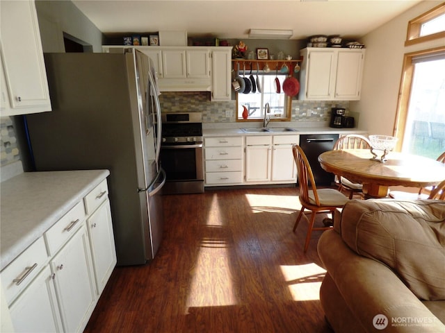 1061/2 Indian Ave E, Brewster, WA 98812 - kitchen featuring stainless steel appliances, a sink, dark wood-style flooring, tasteful backsplash, and under cabinet range hood