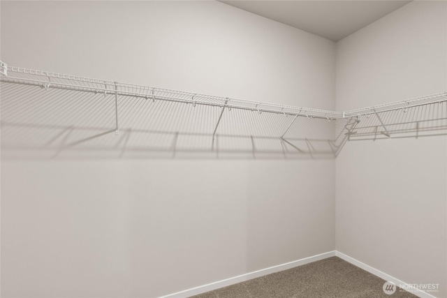 28307 74th Dr NW Unit 90, Stanwood, WA 98292 - walk in closet with carpet flooring