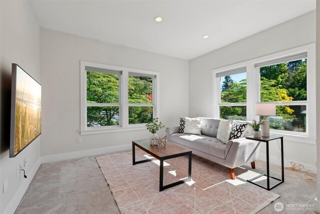 3619 Park Ave N, Renton, WA 98056 - photo 15