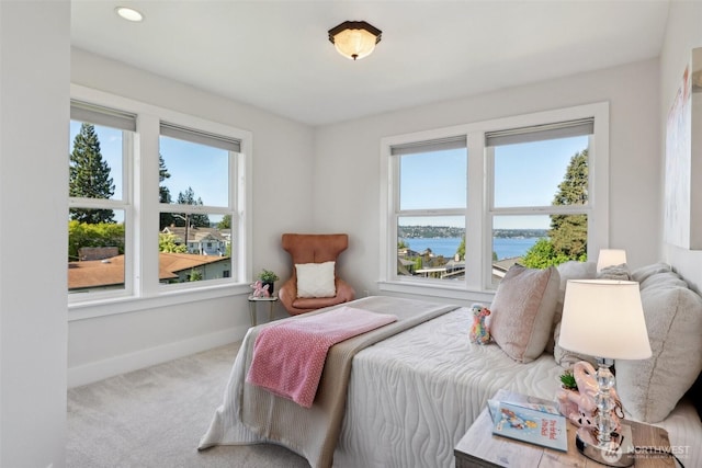 3619 Park Ave N, Renton, WA 98056 - photo 22