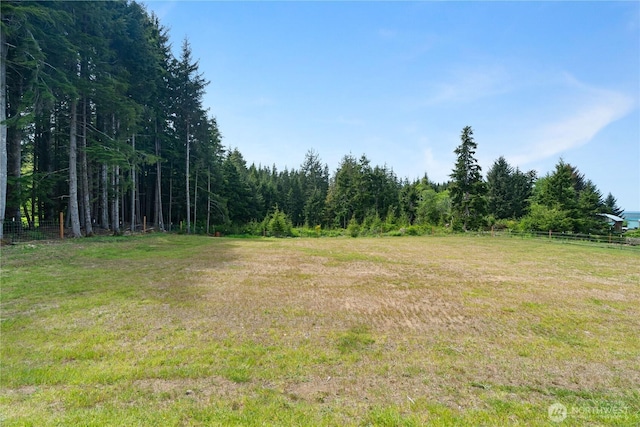 85 Rustemeyer Rd, Aberdeen, WA 98520 - view of woods