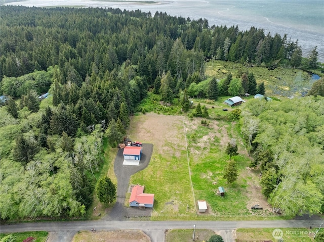 85 Rustemeyer Rd, Aberdeen, WA 98520 - aerial overview of property's location featuring a heavily wooded area and a large body of water