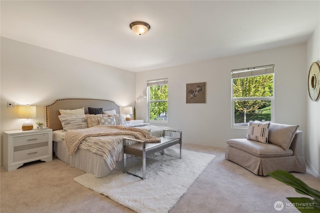 4135 240th Pl SE, Bothell, WA 98021 - bedroom with light colored carpet