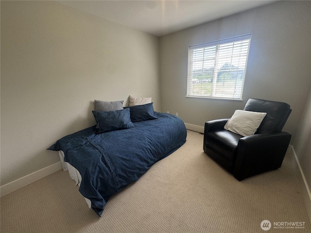 22 Rooster Flats Rd, Oroville, WA 98844 - carpeted bedroom featuring baseboards