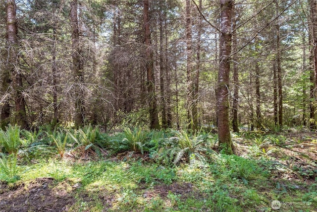 0 Orion, Longview, WA 98632