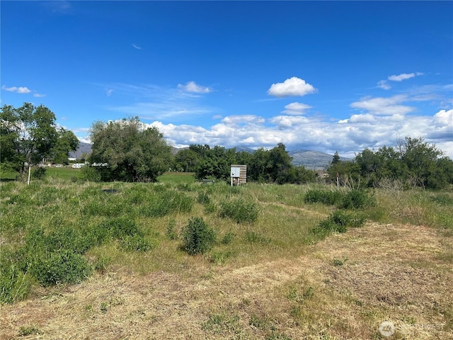 38 Miller Rd, Omak, WA 98841 - photo 22